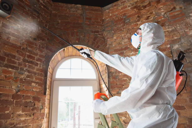 Best Mold Prevention Services in Highlands Ranch, CO